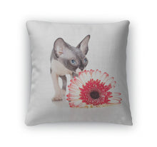 Load image into Gallery viewer, Throw Pillow, Canadian Sphynx Kitten With African Daisy Flower