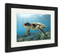 Load image into Gallery viewer, Framed Print, Hawaiian Green Sea Turtle