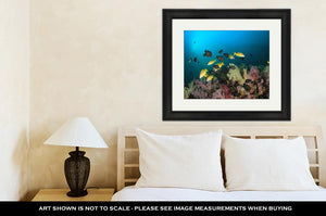 Framed Print, Coral Reef And Tropical Fish In Ocean