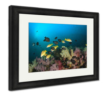 Load image into Gallery viewer, Framed Print, Coral Reef And Tropical Fish In Ocean